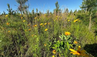 D4289 Road, Antlers, OK 74536