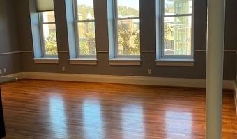 52 Biltmore Ave 203, Asheville, NC 28801