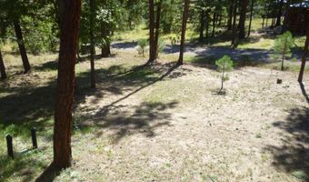 3 CR 2190, Alpine, AZ 85920