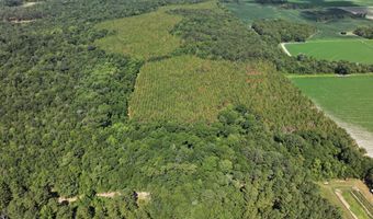 Highway 112, Abbeville, GA 31001