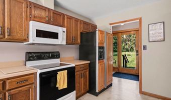 3871 Resort Rd, Alanson, MI 49706