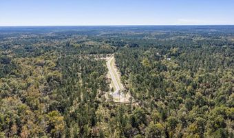 135 Beagle Chase Dr Lot 4, Appling, GA 30802