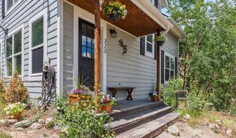 323 N OAK St, Alma, CO 80420