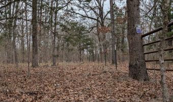 179 RS County Road 2572, Alba, TX 75410