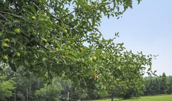 7511 Afton Rd, Afton, MI 49705