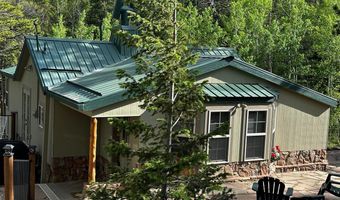 131 County Road 90, Allenspark, CO 80510