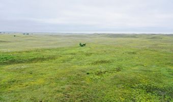 755 90 +/- Acres, Arnold, NE 69120