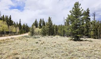 700 Looney Ln Lot 0, Alma, CO 80420