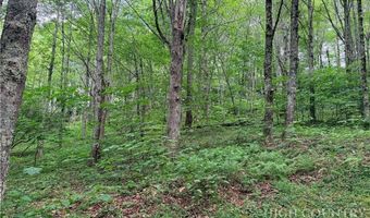 Chestnut Mountain Road, Banner Elk, NC 28604