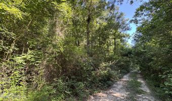 Riverside Drive lot 10, Biloxi, MS 39532