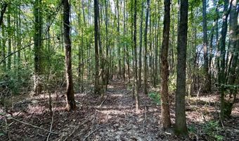 NE Williams Street, Brookhaven, MS 39601