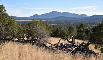 20202107 C Grantham Ranch Rd, Williams, AZ 86046