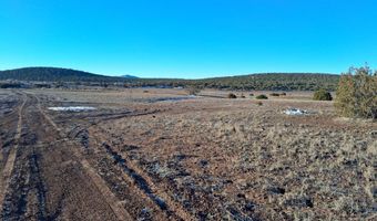92 County Road 8223, Concho, AZ 85924