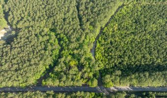 Ethridge Drive, Andrews, SC 29510