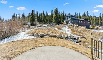 255 FLANNIGAN Cir, Alma, CO 80420