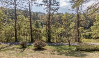 2063 PEDLAR RIVER Rd, Amherst, VA 24483