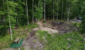 3206 HIDDEN RIDGE Rd, Alanson, MI 49706