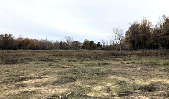 1071 LR 3, Ashdown, AR 71822