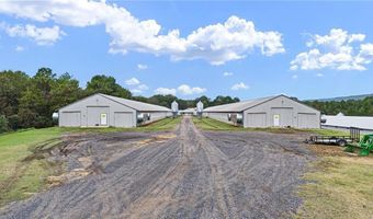 11695 E Old Belleville Rd, Belleville, AR 72824