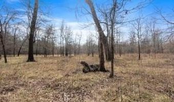000 Hwy 105, Atkins, AR 72823