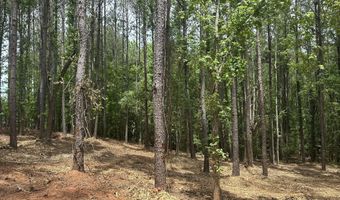 Ridge Road lot E, Appling, GA 30802