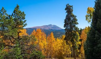 63 TWIN PINES Ct, Breckenridge, CO 80424