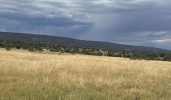 N8485, Concho, AZ 85924