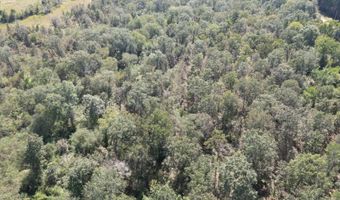 S80 Helt Rd, Antlers, OK 74525