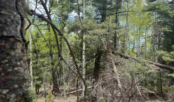 El Camino Real lot 455, Angel Fire, NM 87710