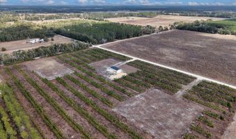 965 NW 55th Ave, Bell, FL 32619