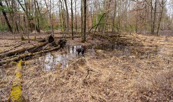 Dover Drive lot 1 14 Ac, Adams, WI 53910