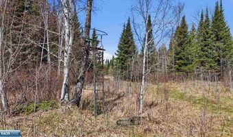 8849 Hwy 25, Angora, MN 55703