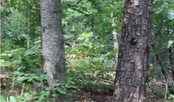 Whispering Pines, Antlers, OK 74523