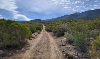 000 Palace Dr, Mountain Center, CA 92561