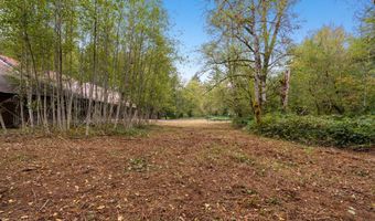 NE Yale Bridge Rd, Amboy, WA 98601