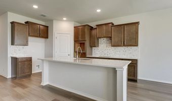 336 Bushwack Dr Plan: Cartwright, Adkins, TX 78101