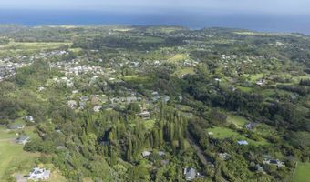 1002 Kauhikoa Rd 2, Haiku, HI 96708