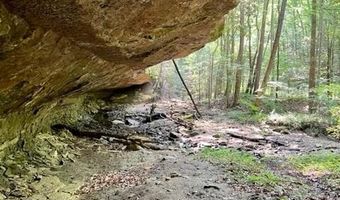 Coperas Cave Branch, Beattyville, KY 41311