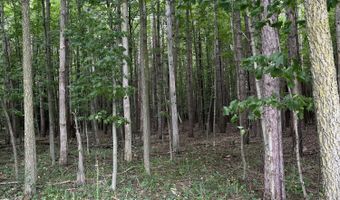 V/L 108th Avenue, Allegan, MI 49010