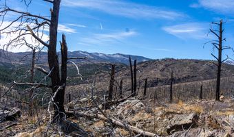 3600 Moondance Way, Bellvue, CO 80512