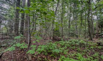 Johnson Rd lot 9, Becket, MA 01223