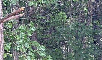 0- Lot 5 Piney Mountain Rd, Appomattox, VA 24522