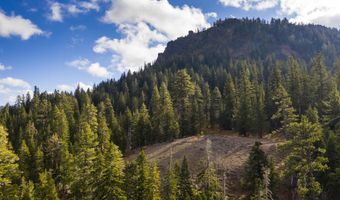 xxxxx Alpine Meadows Road, Alpine Meadows, CA 96146
