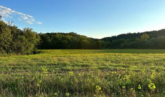 TBD Bear Pen Rd, Arkansaw, WI 54721