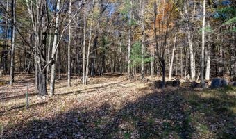 Lot 33 S Badger Lane, Arkdale, WI 54613
