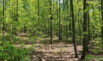 0 County Road 224, Alton, MO 65606