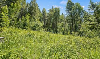 LOT 22 TRAIL RIDGE ROAD, Alpine, WY 83128