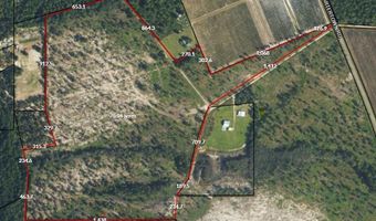 TBD Cartertown Rd, Alma, GA 31510