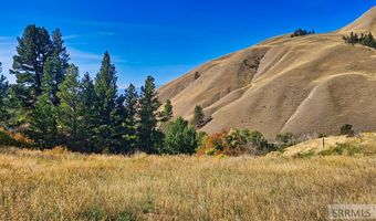 53 Runnin Bear Rd, Carmen, ID 83462