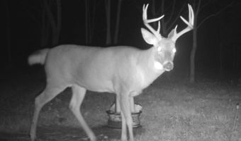 767 County Road 500, Ashland, OH 44805